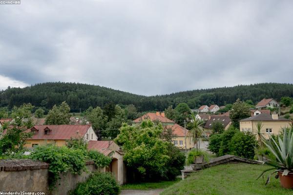 Forested green hills