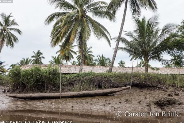 Improved forest management project